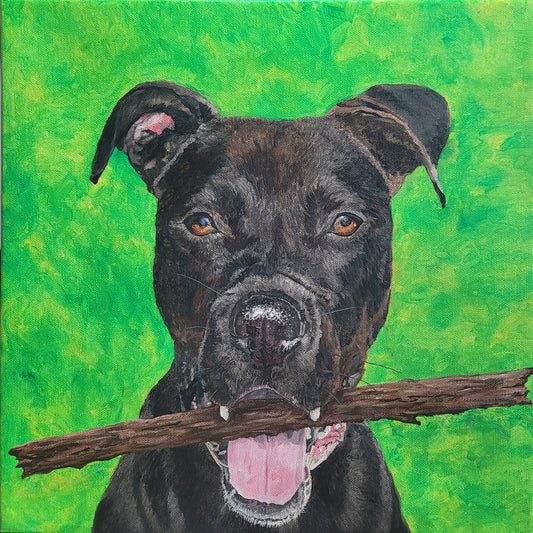 Pitbull Mix by Brandy Gerber