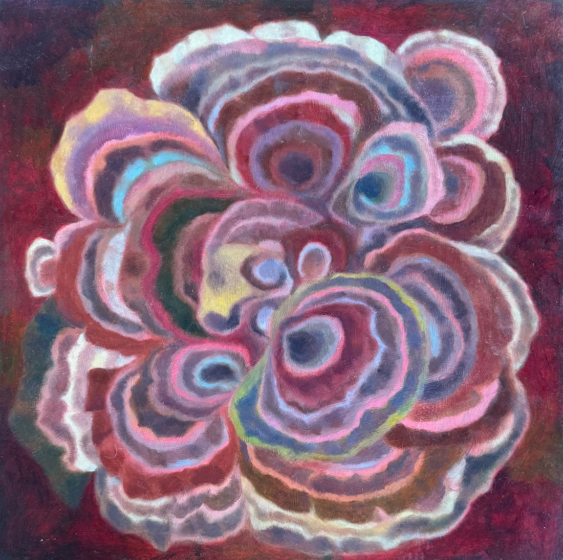 Turkey Tail