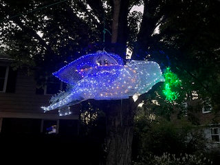 PEACE DOVE Image of HOPE