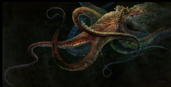 Infinite Deep by Duane Geisness