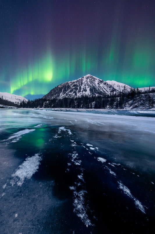Aurora Dawn - Denali Delight