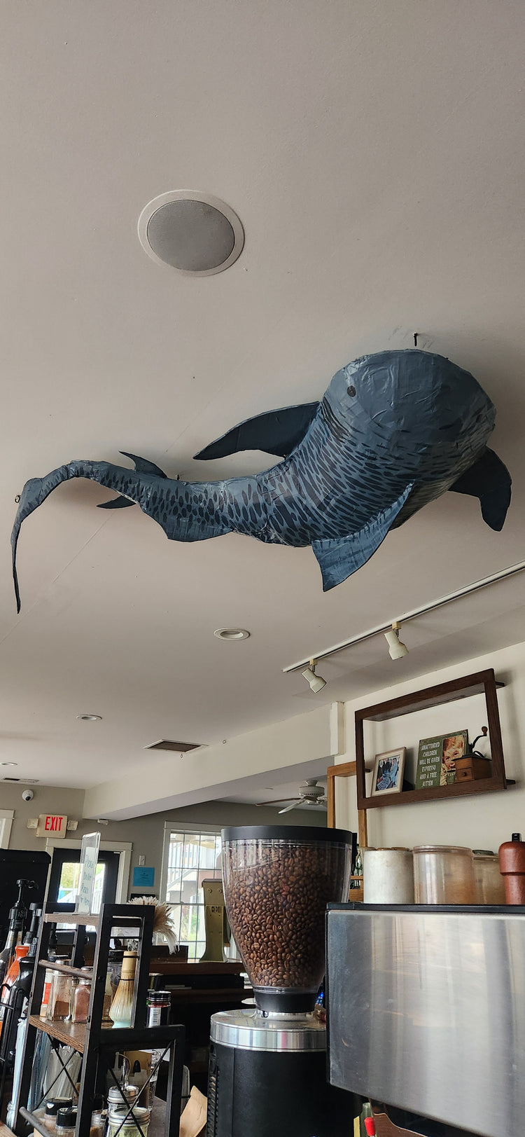 Ocean mache-tiger shark by Abigayle Hopkins