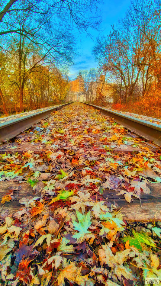 Vanishing Point