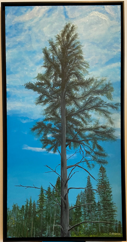 Lone Pine