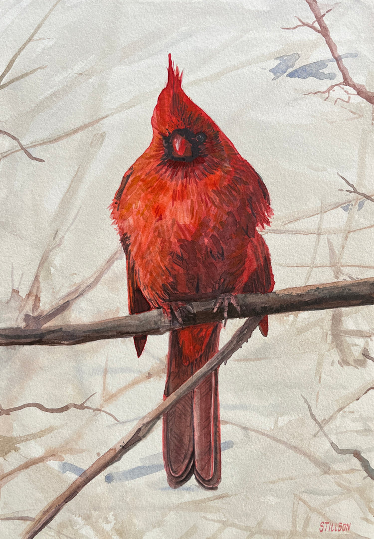Cardinal #1