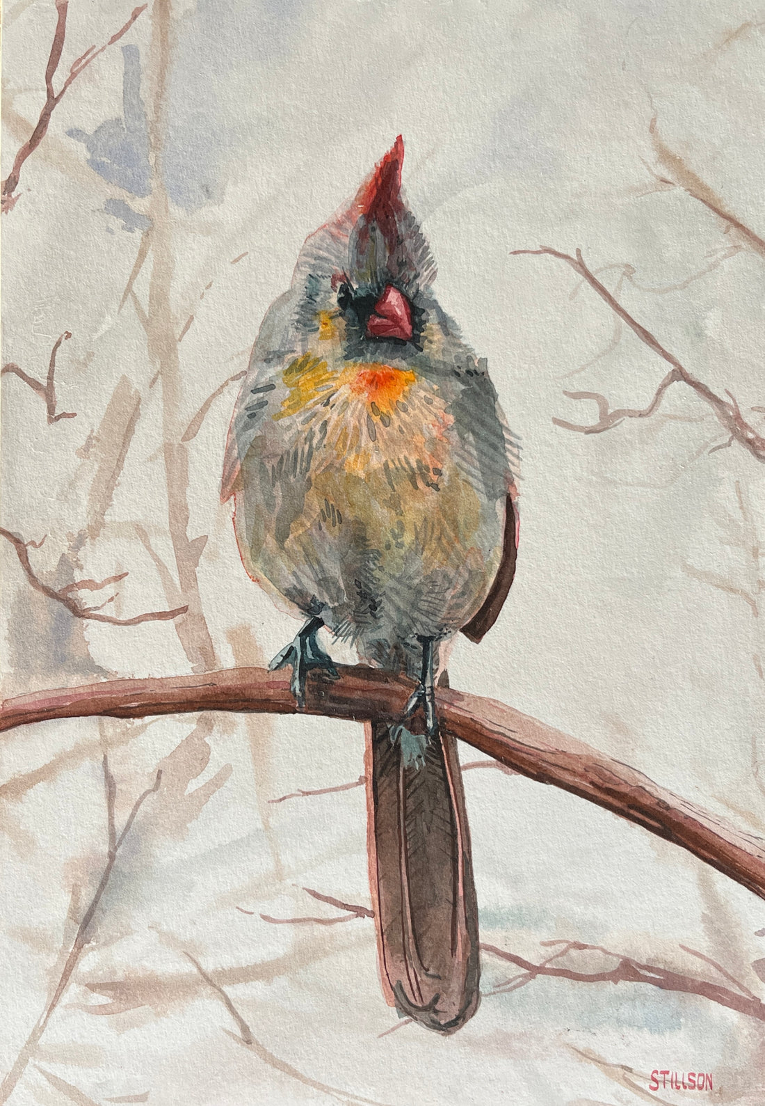 Cardinal #2