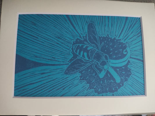 Syrphid Fly by Kathryn Utter