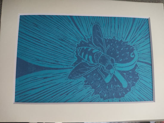 Syrphid Fly by Kathryn Utter