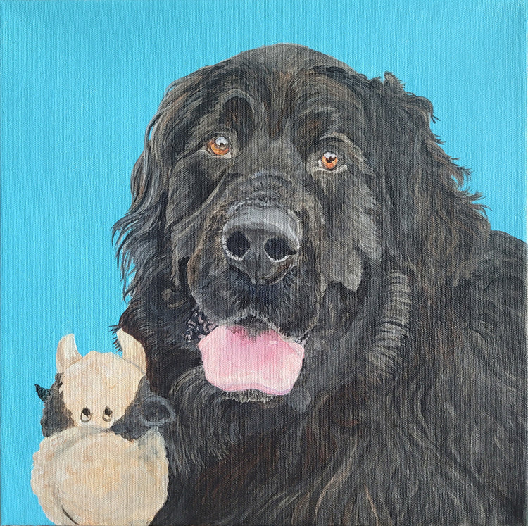 Newfoundland by Brandy Gerber