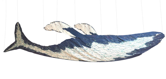 Under the Sea: 38 foot Whale