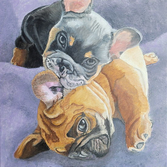French Bulldog by Brandy Gerber