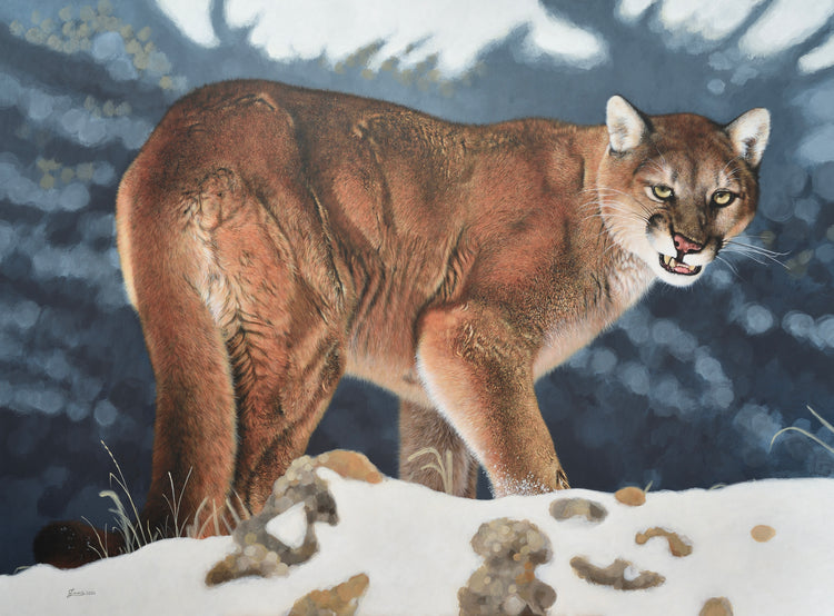 Everything The Light Touches by Emma Loisch
