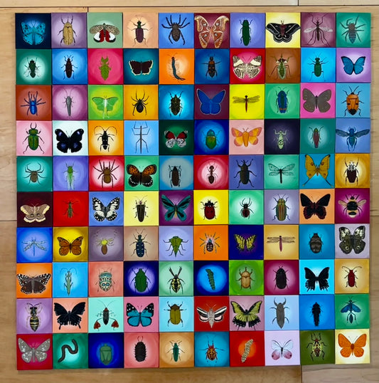 1 0 0 b u g s by Hayley De Young