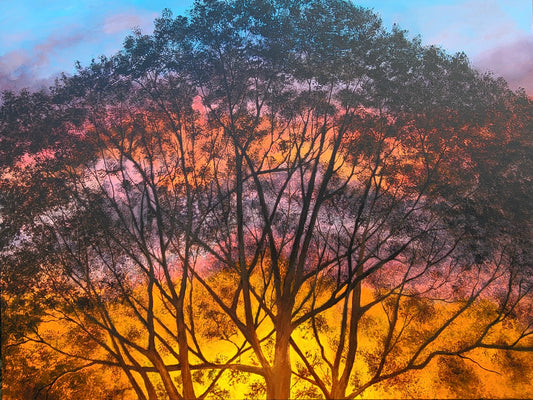 Golden Hour in Silhouette
