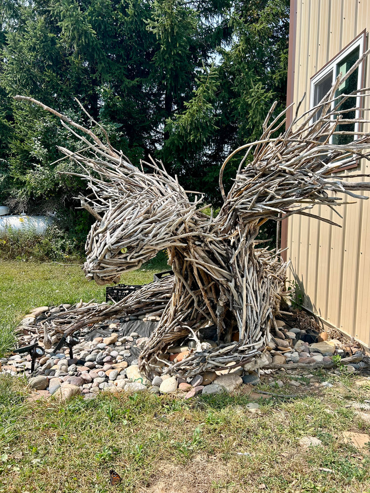 Driftwood Dragons