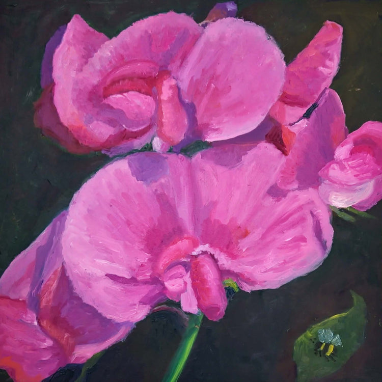 Everlasting Pea by Loretta Rolison, Krista McConkey
