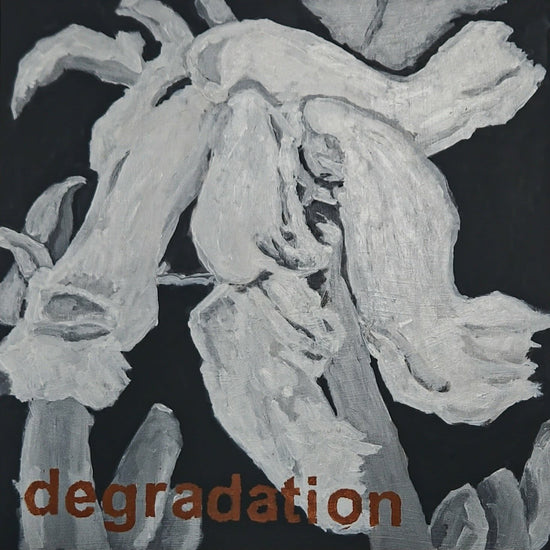 Rock Harlequin degradation by Loretta Rolison, Krista McConkey
