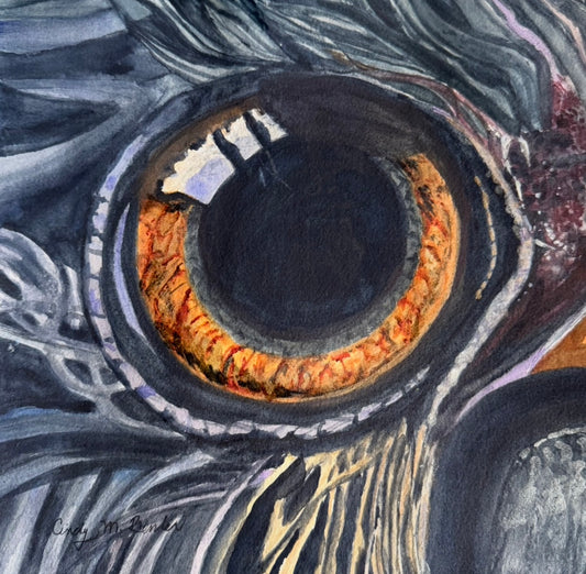 Raven's Eye by Cindy Bender