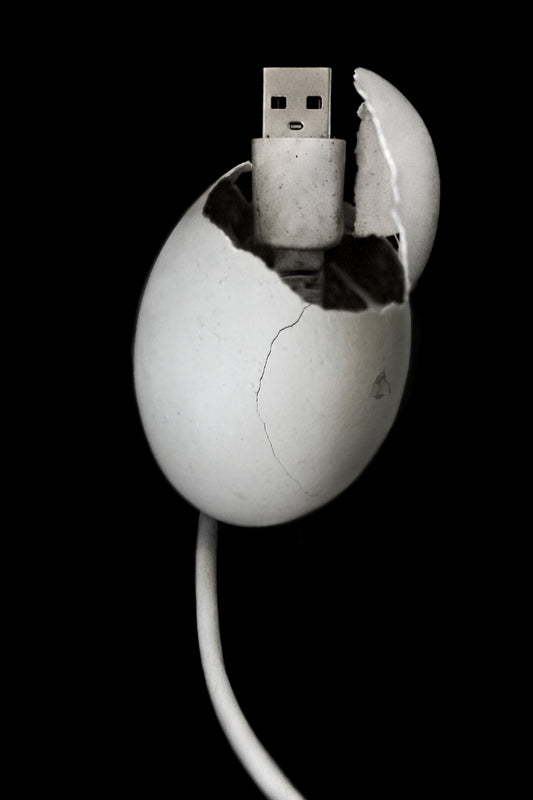 Incubation Error by Nadal Antelmo