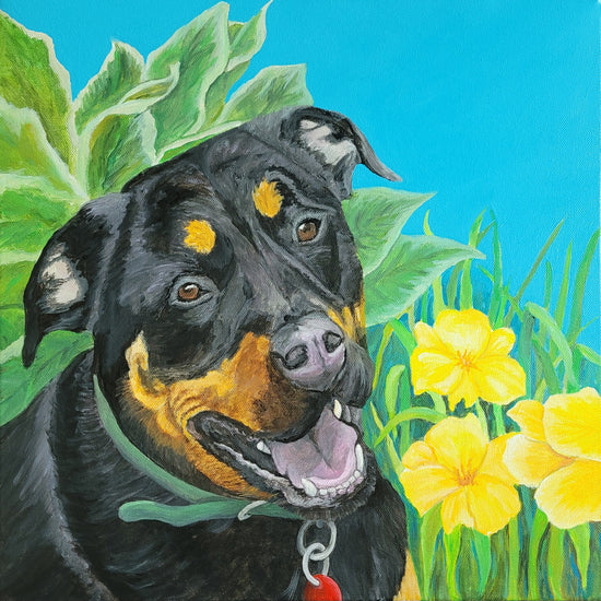 Beaucero by Brandy Gerber