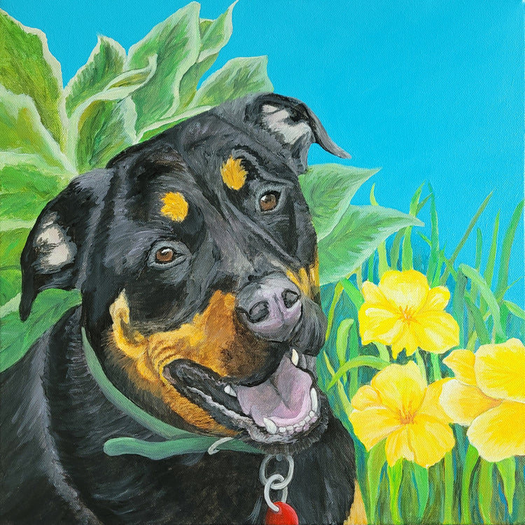 Beaucero by Brandy Gerber