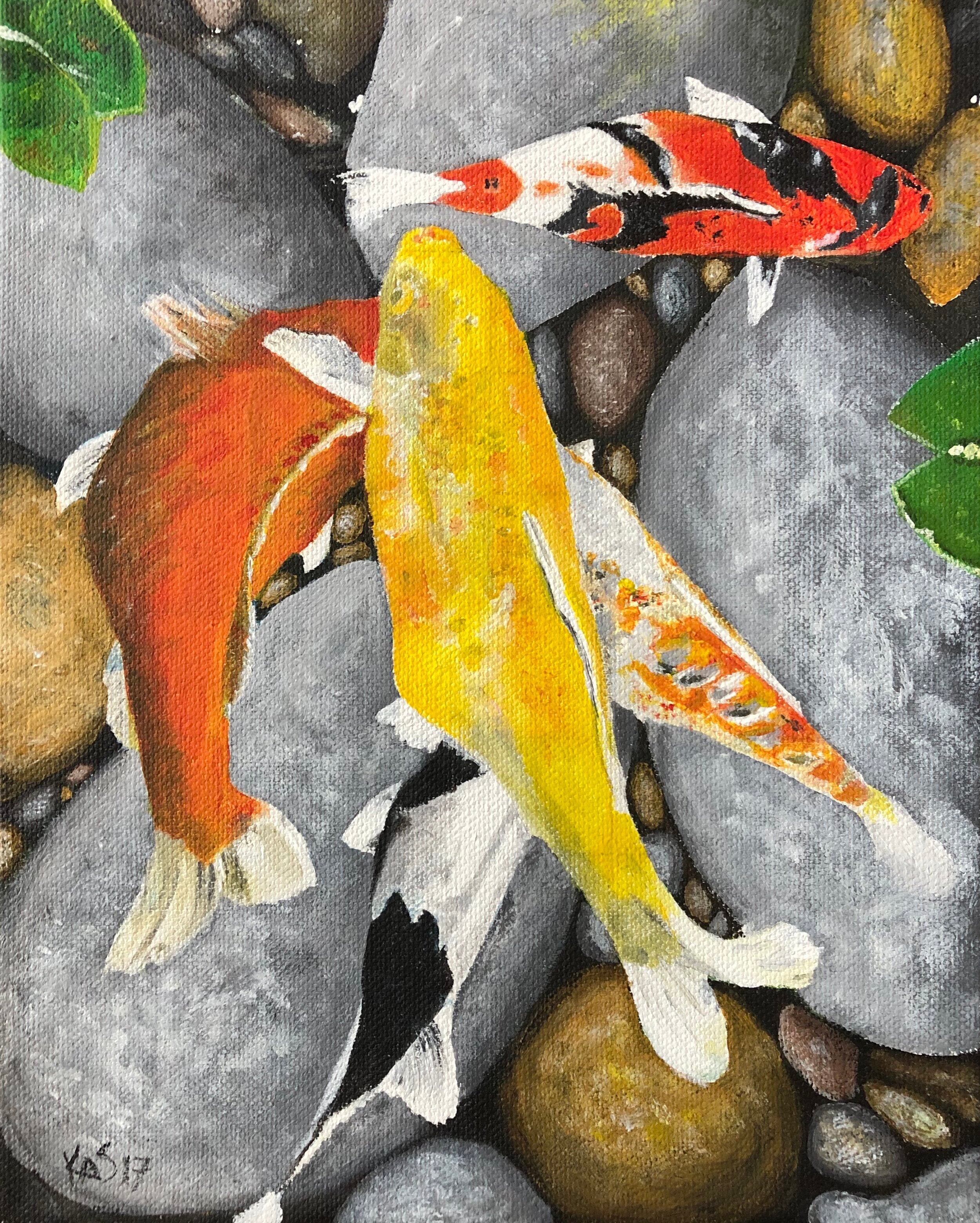 Koi