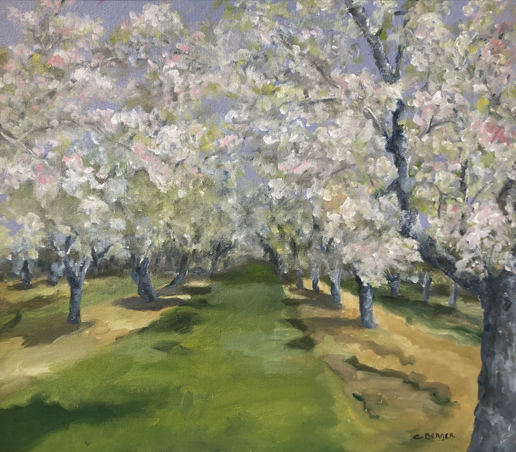 Orchard Blossoms