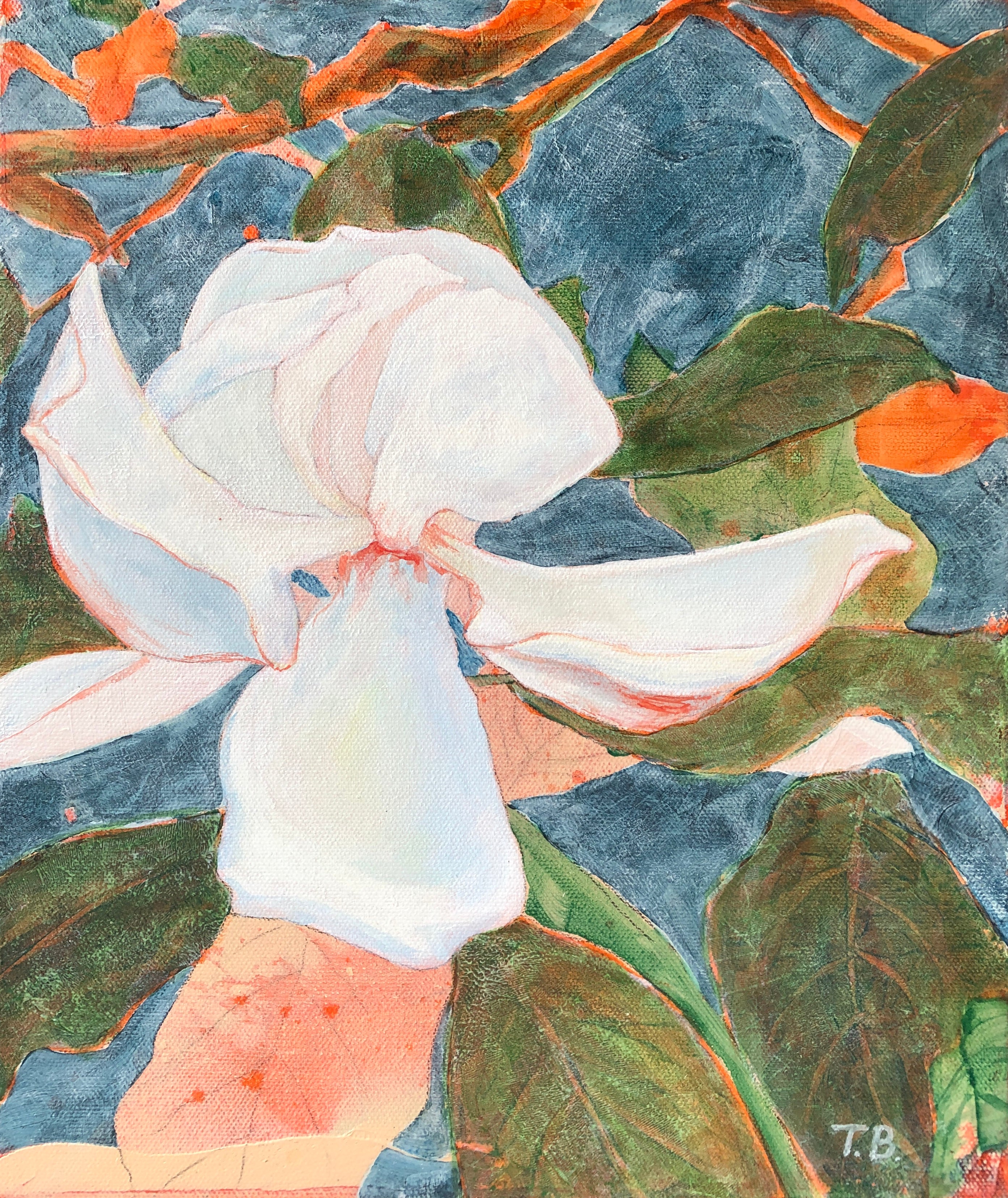 Magnolia 1