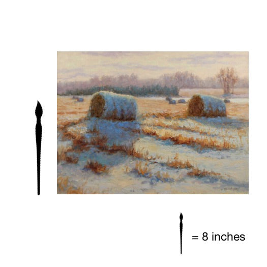 Bales in Winter