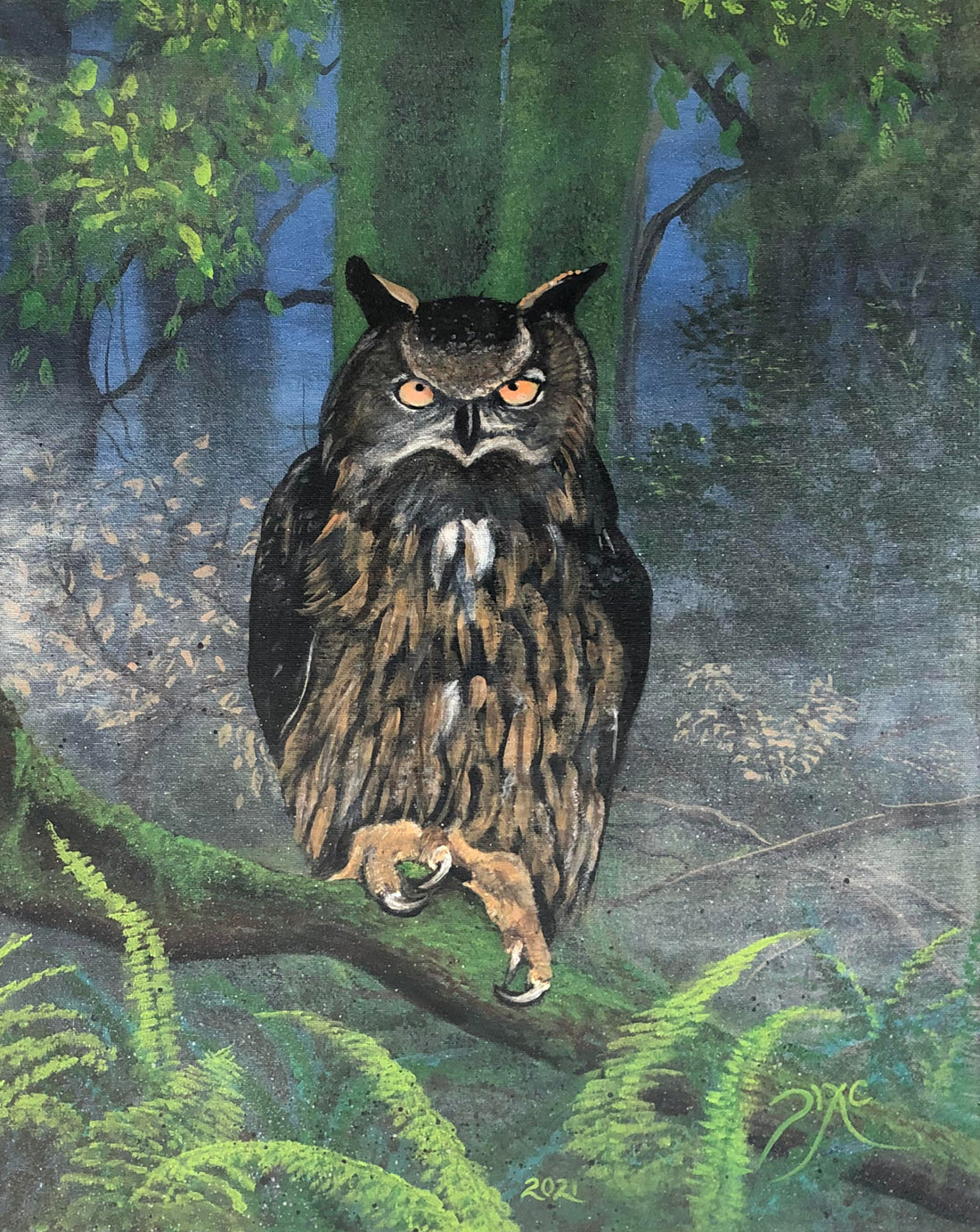 Watchful Owl