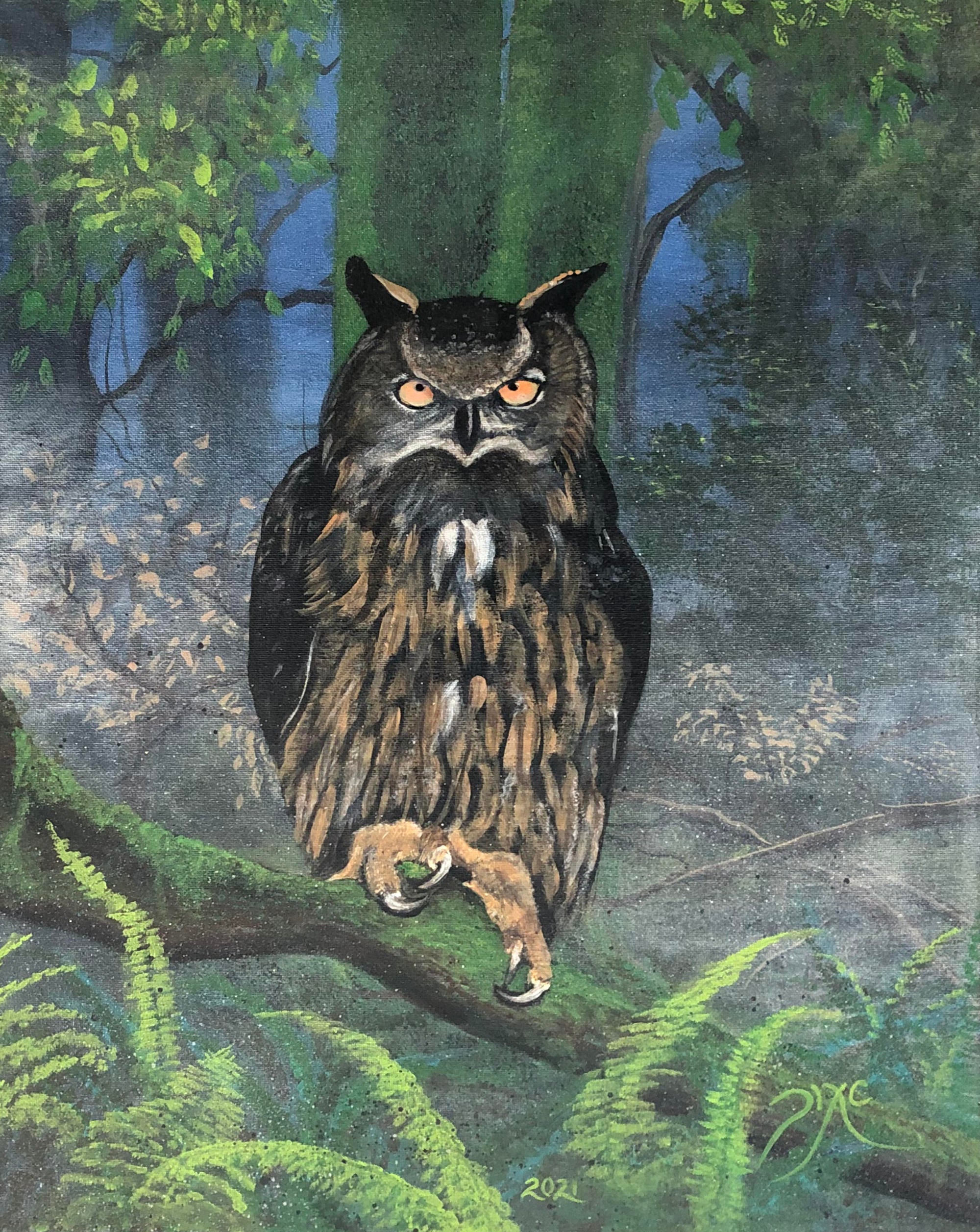 Watchful Owl
