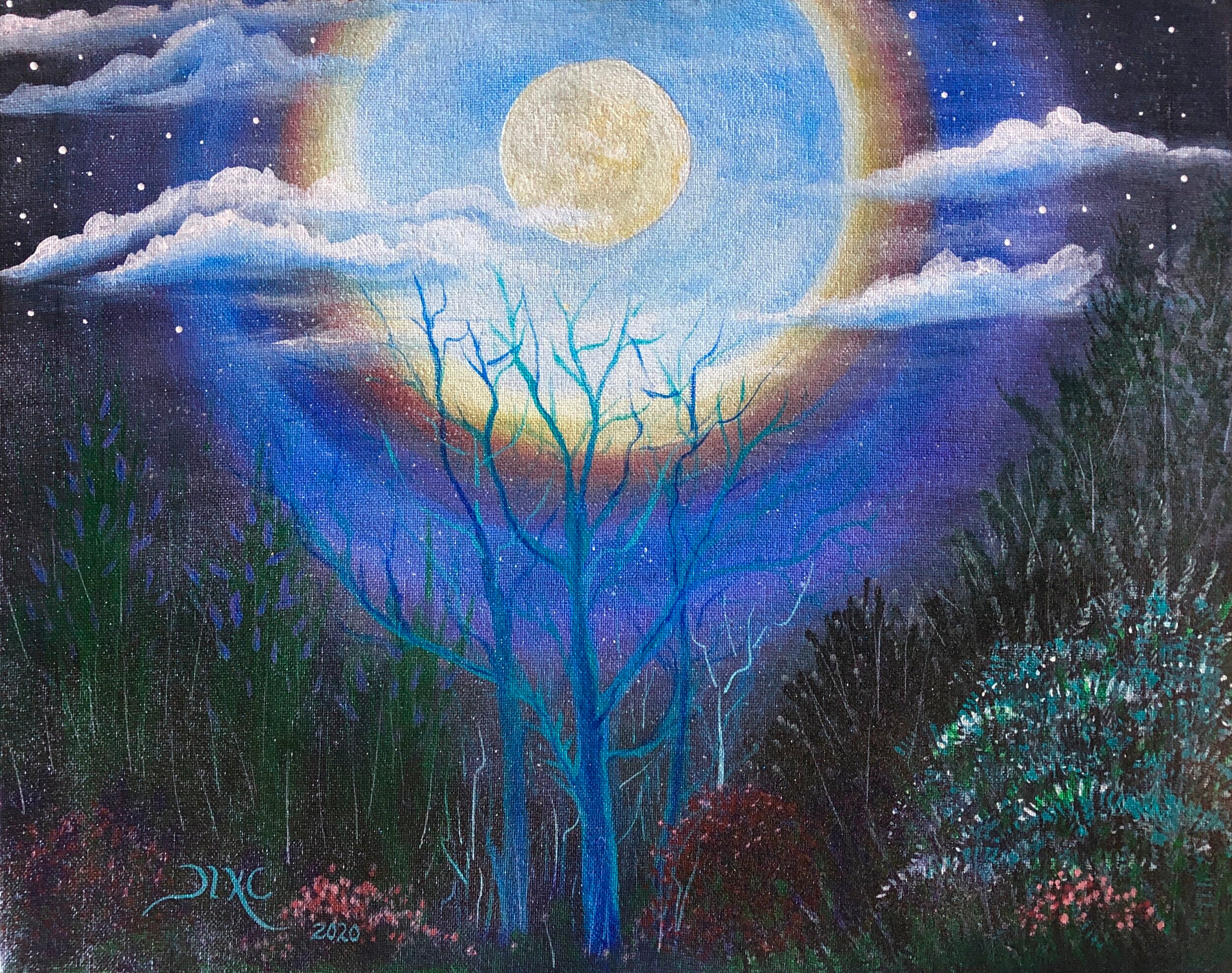 Moonbow Over Blue Trees