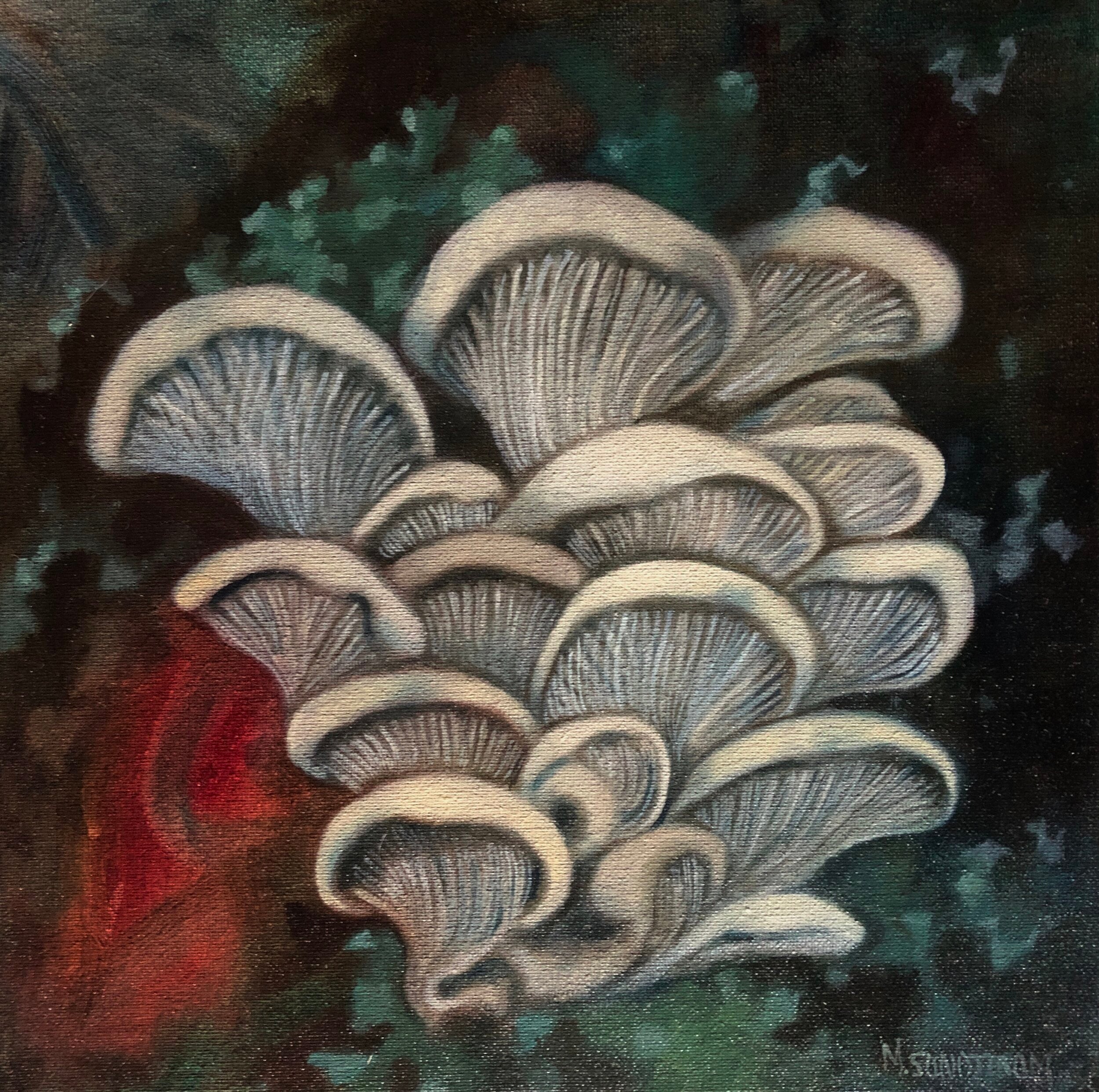 Oyster Flush
