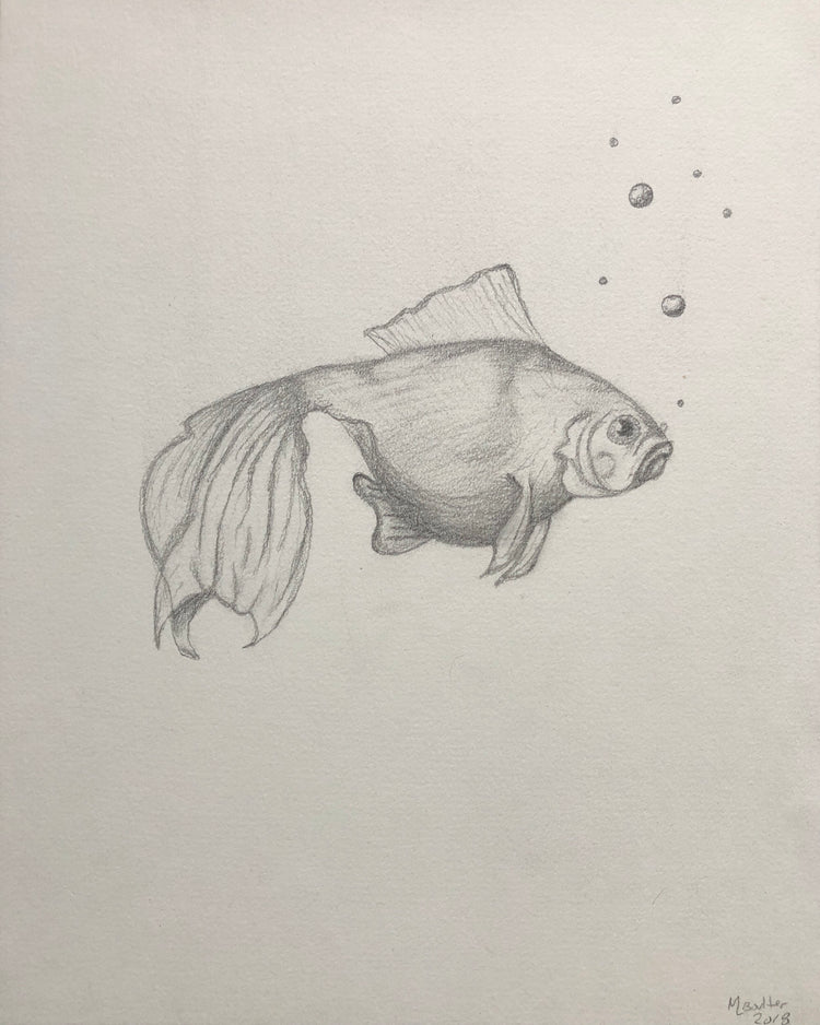 Sad Fish