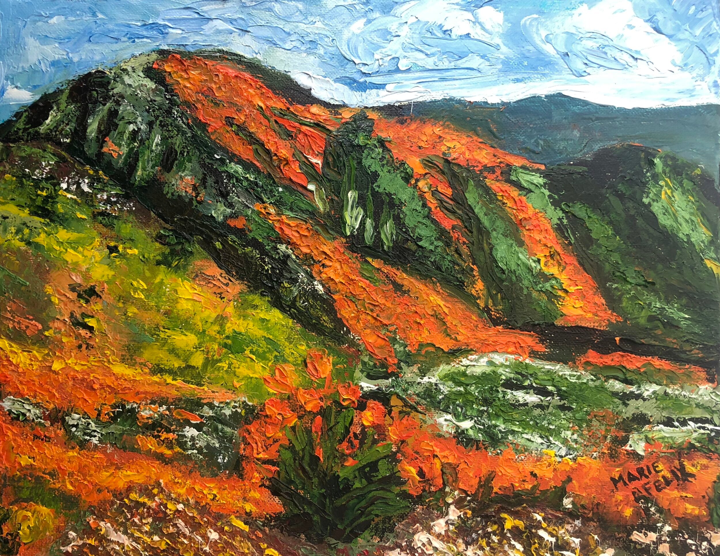 California Poppies