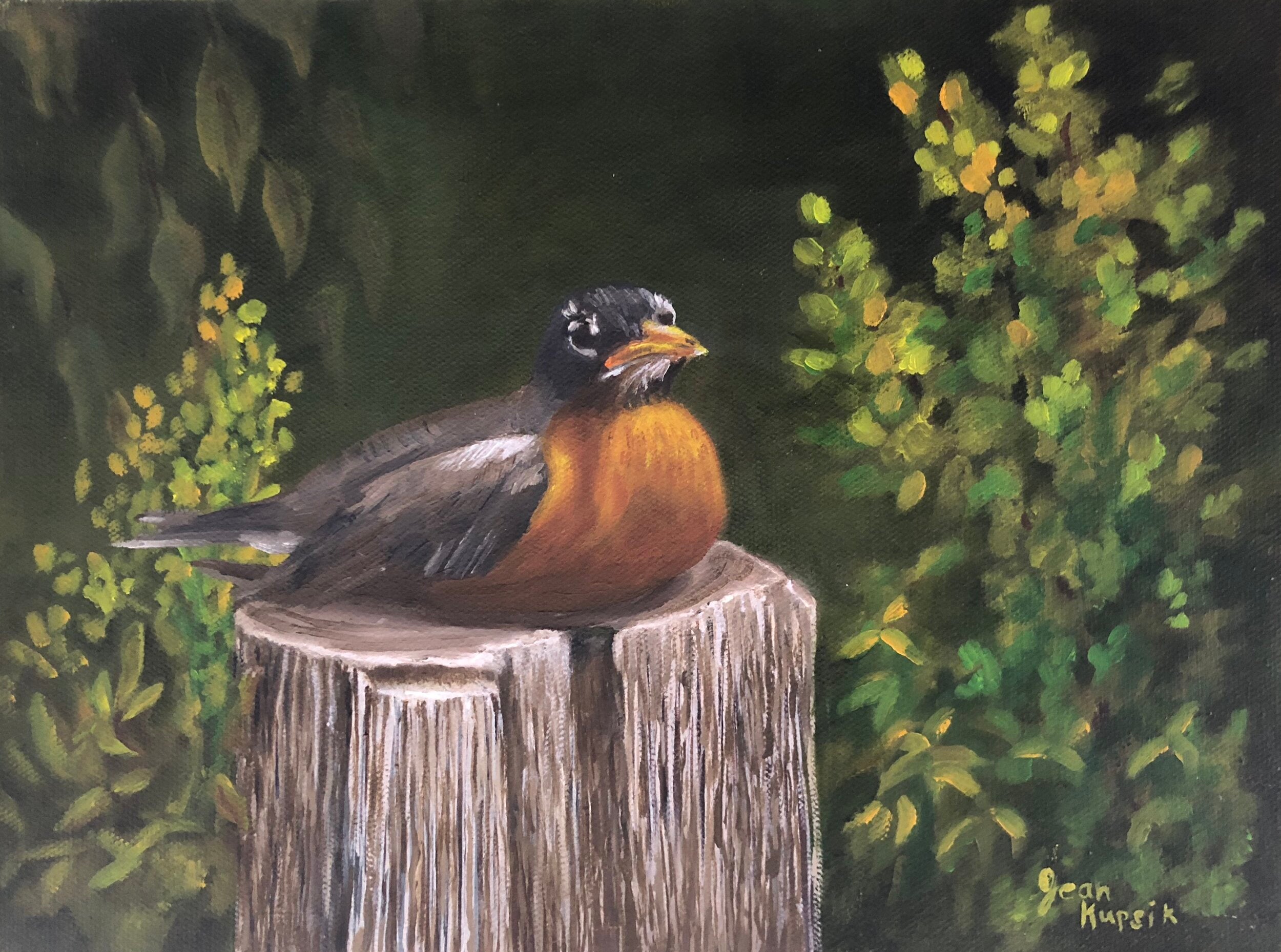 Robin