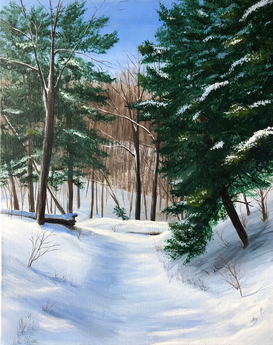 Winter Trail, Hoffmaster State Park, MI