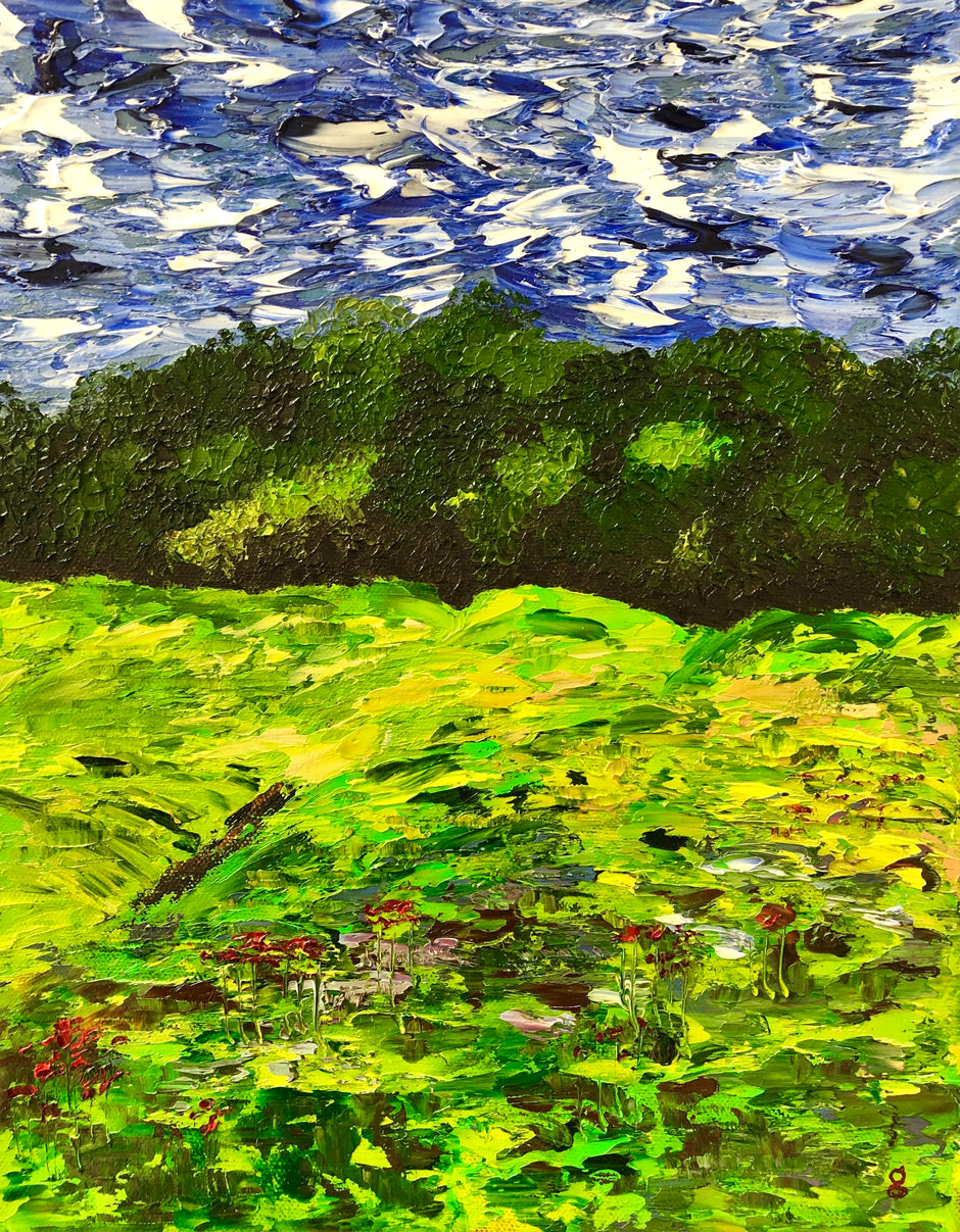 Above Juniper Beach #1