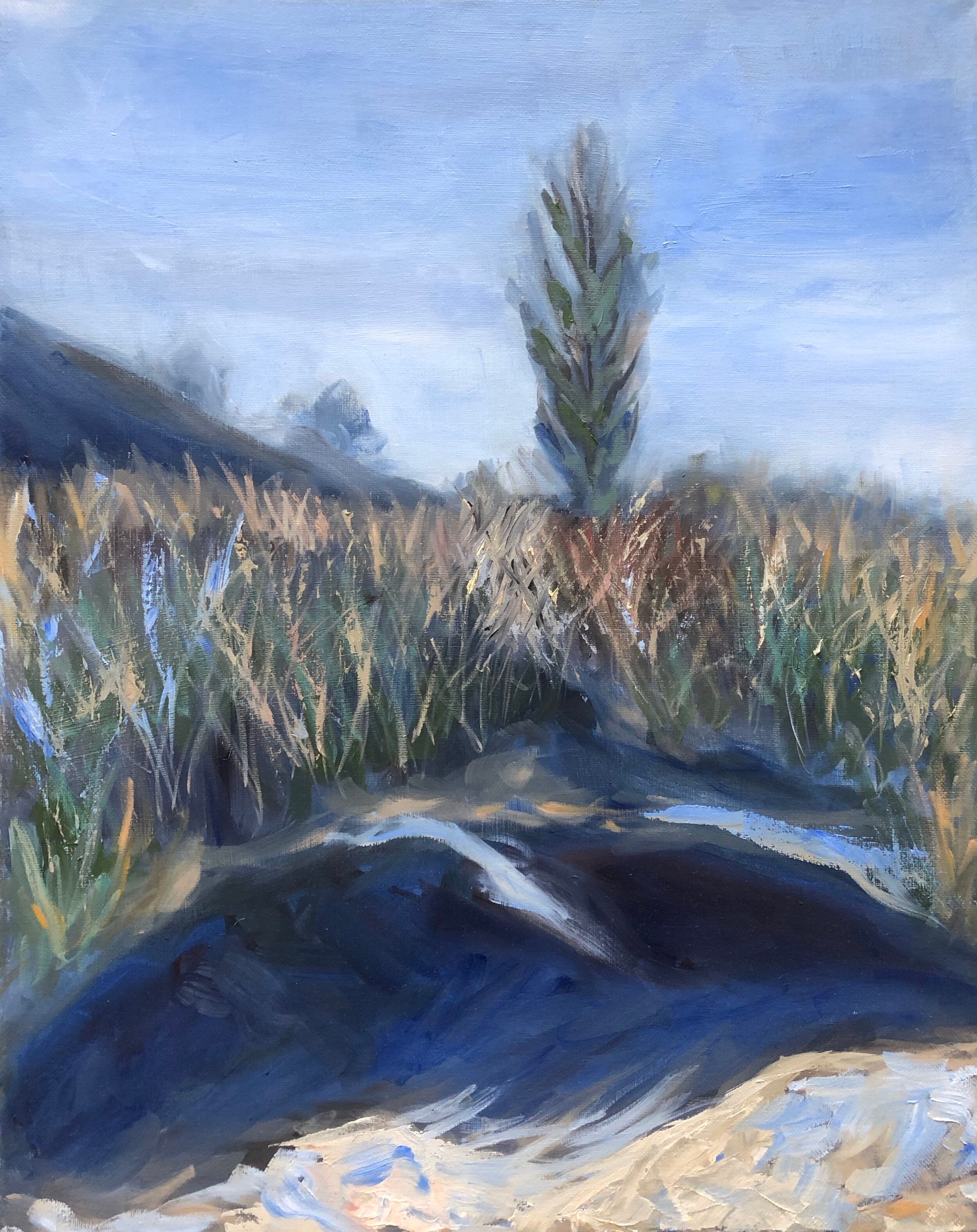 Dune Grass