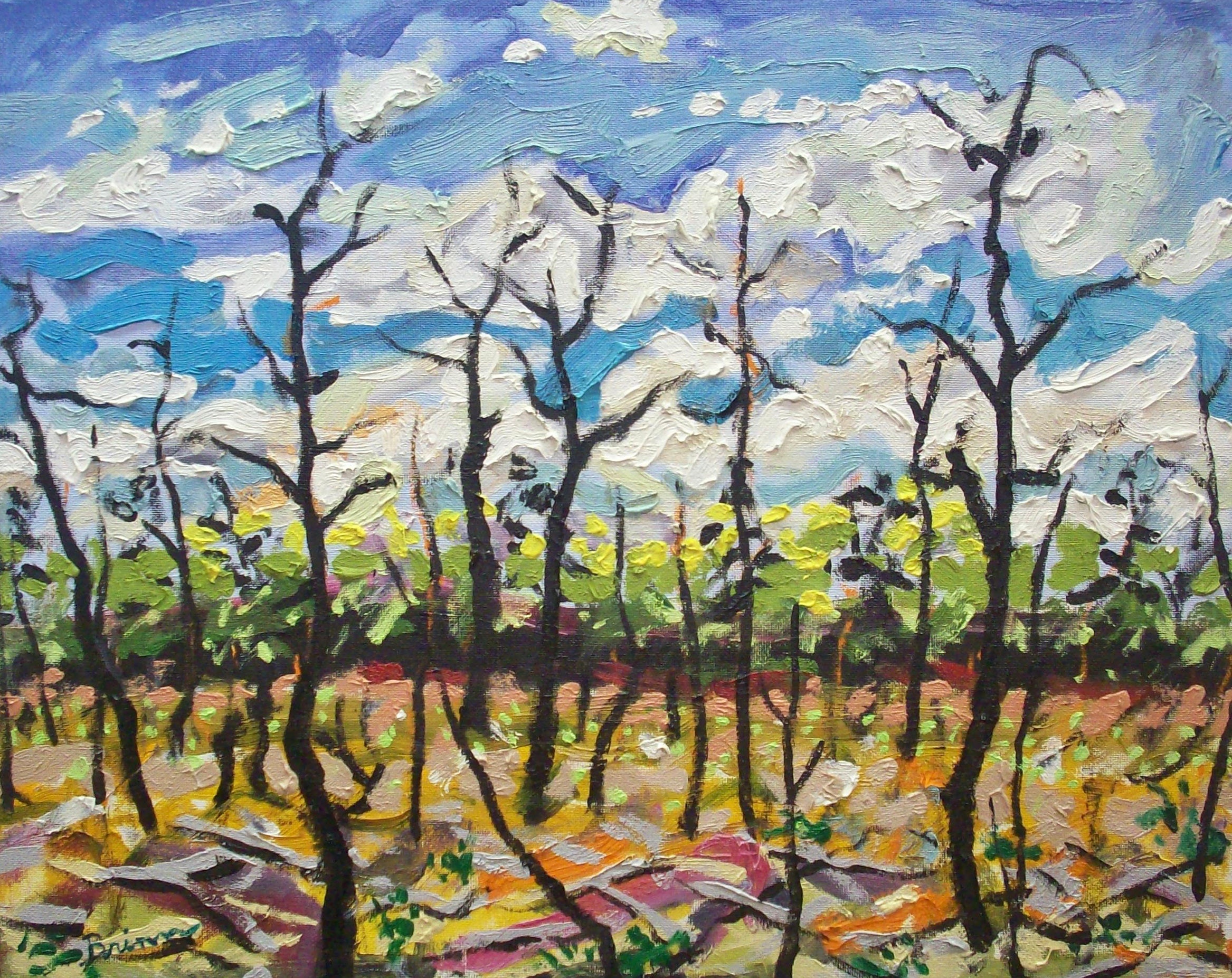 Burned Woods