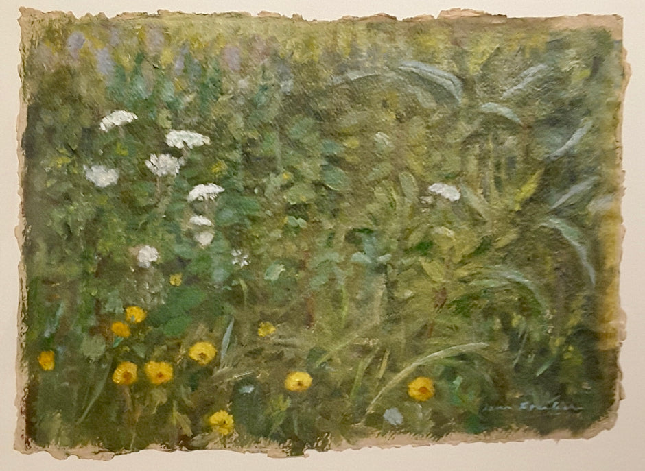 Meadows