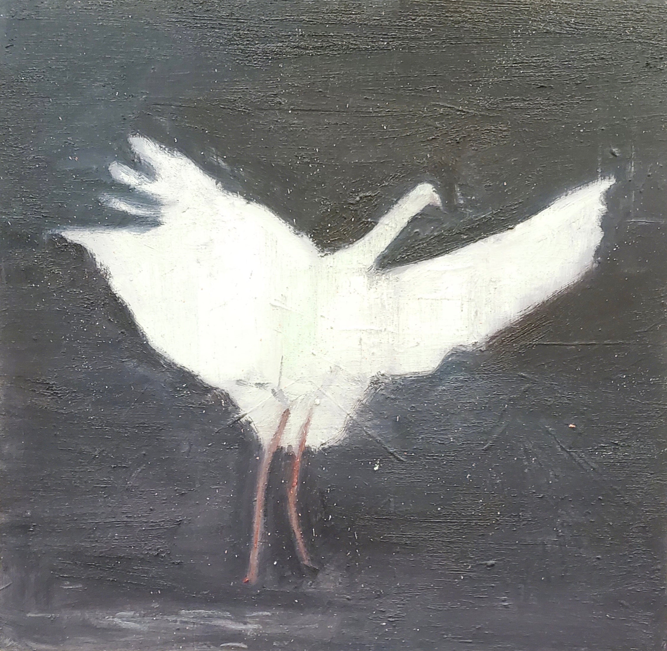 Crane Aloft