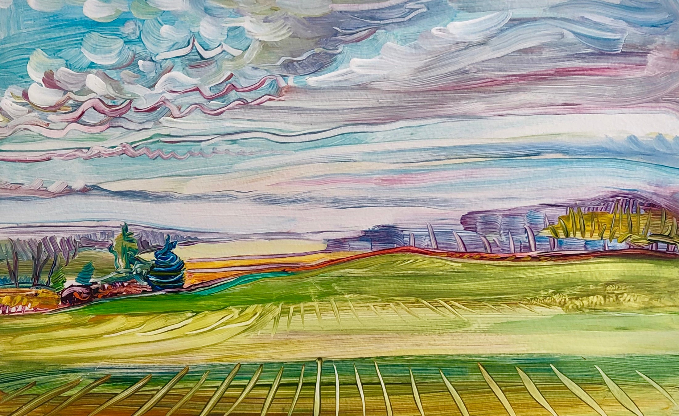 Open Field 1