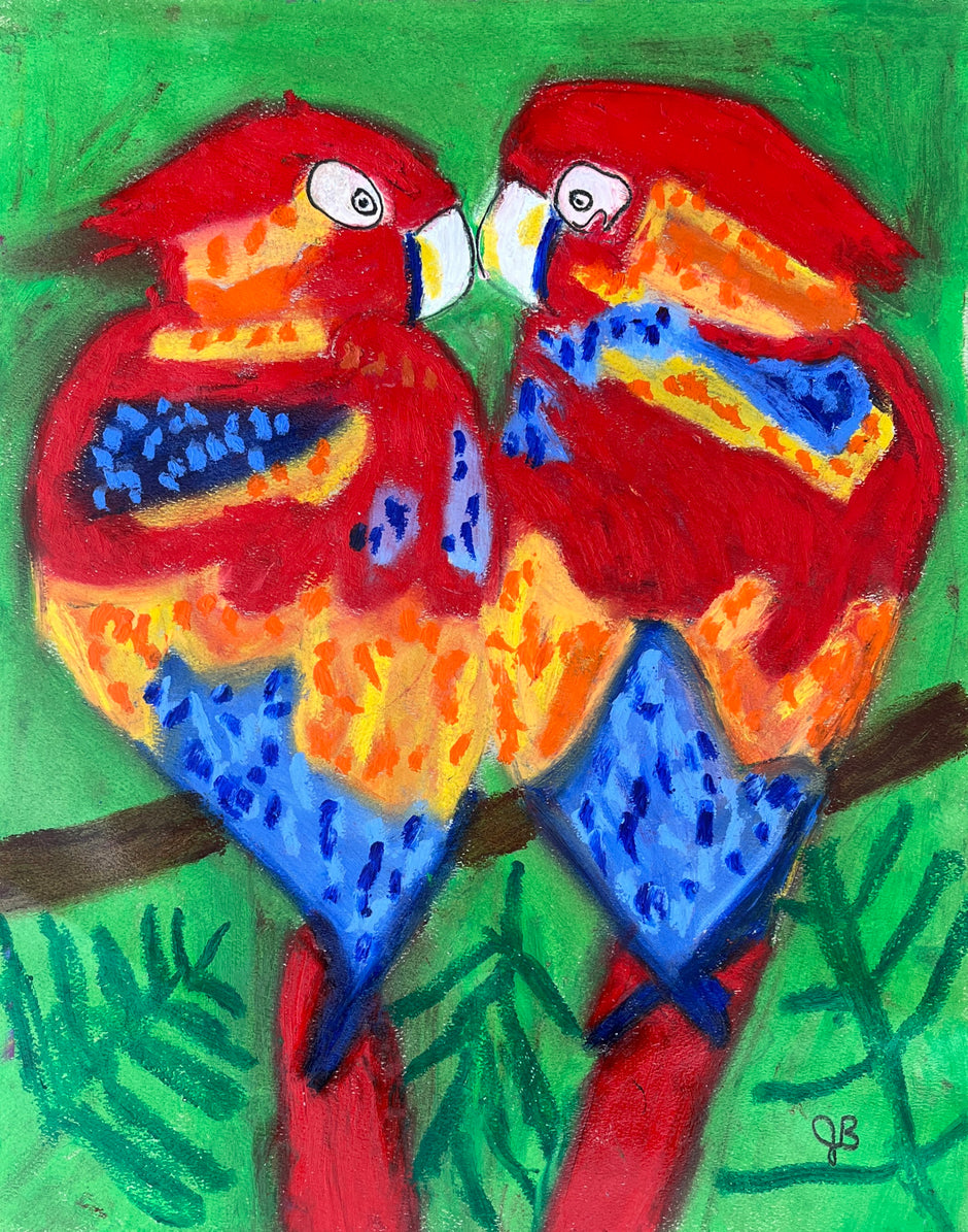Beautiful Parrots