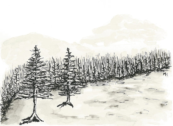 Artwork image to scale