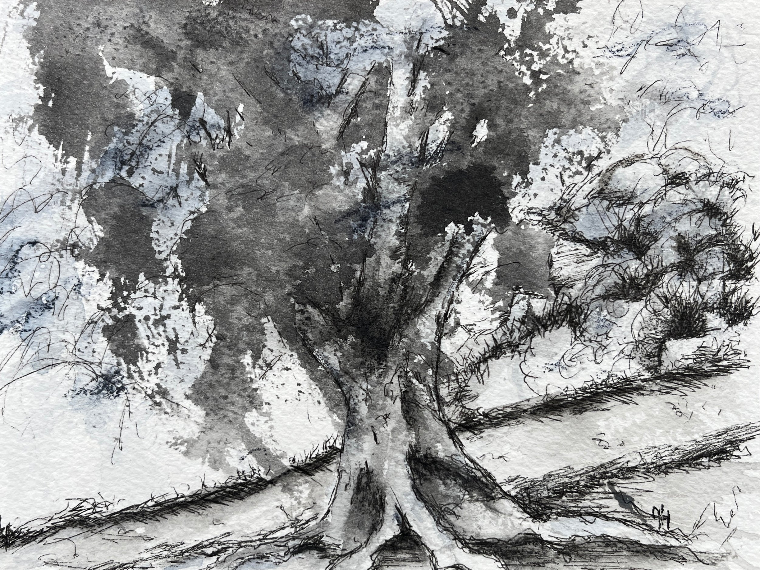 Deeply Rooted