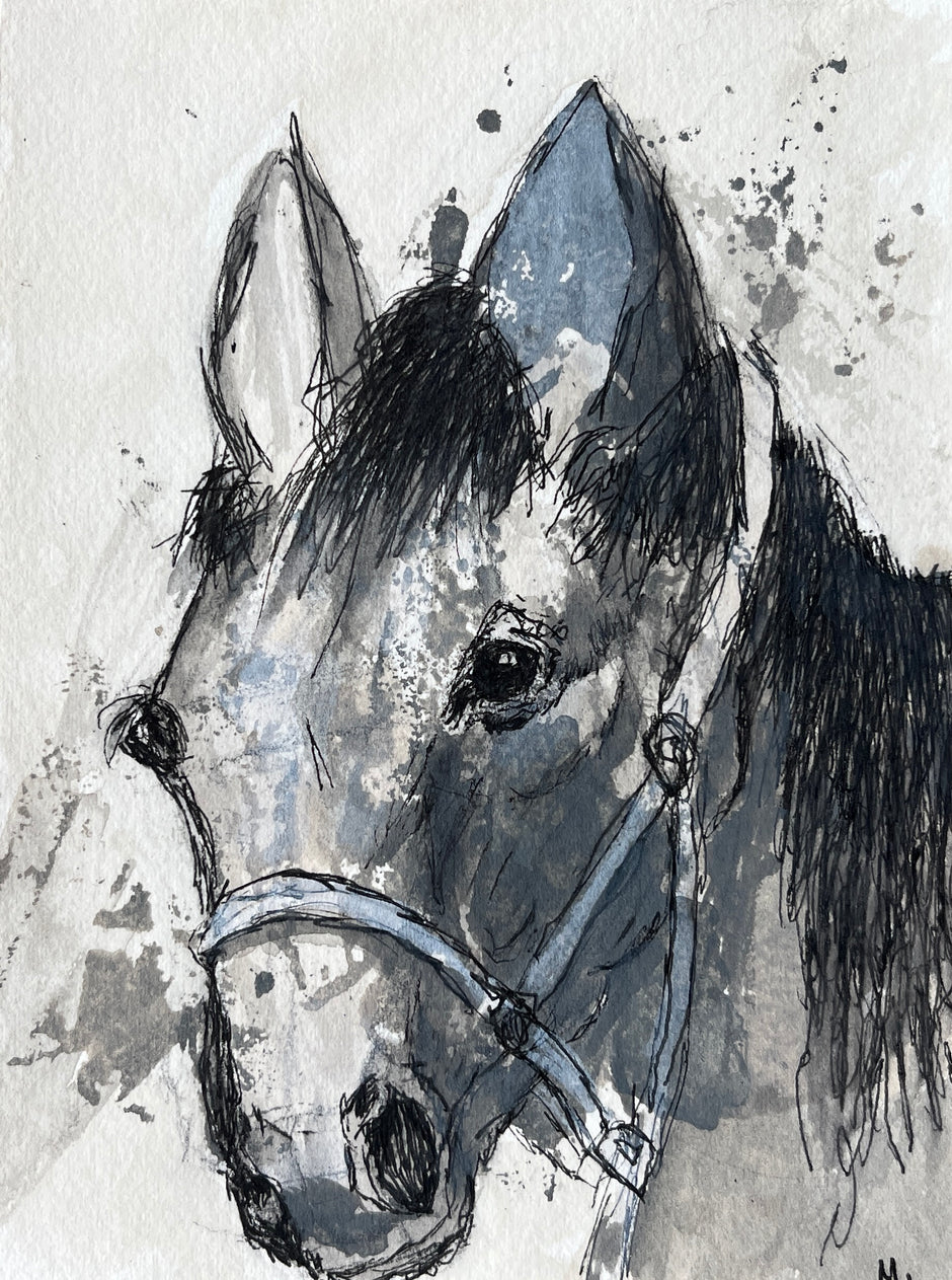 Wise Old Horse